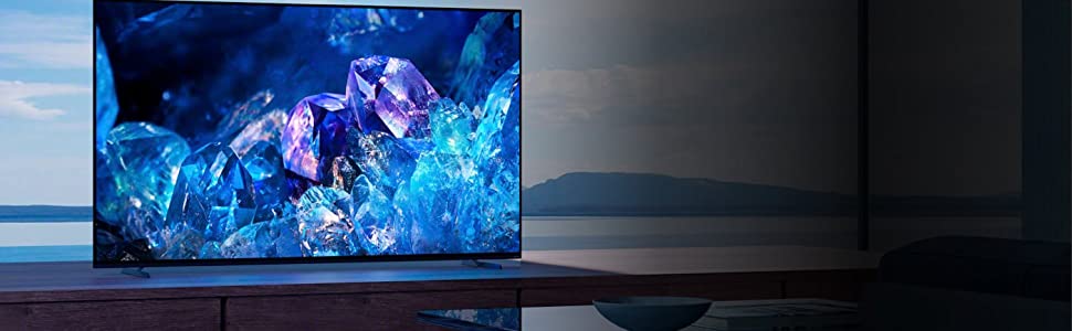 bravia xr a80k
